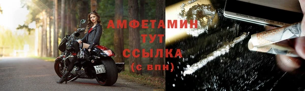 гидра Зеленодольск