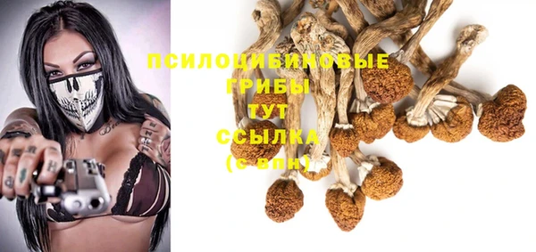 гидра Зеленодольск